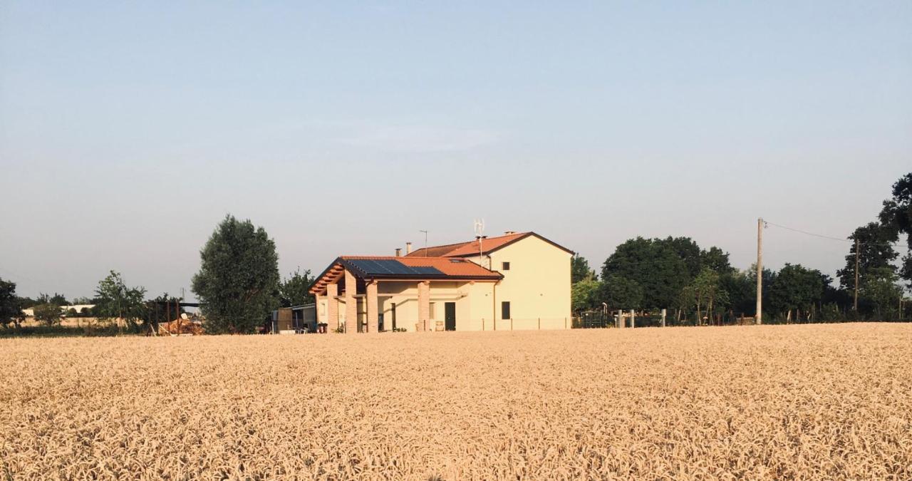 B&B Casa Egle Corbola Exterior foto
